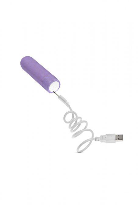 Eco Bullet Rechargeable USB Biodégradable violet