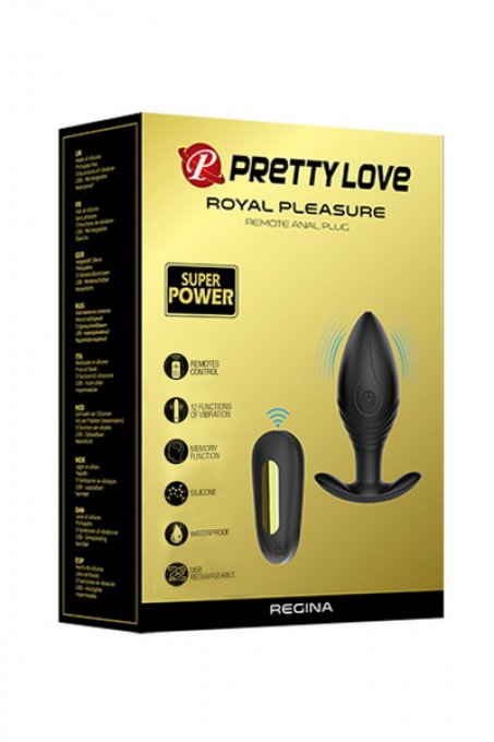 Plug anal USB luxe Royal Pleasure